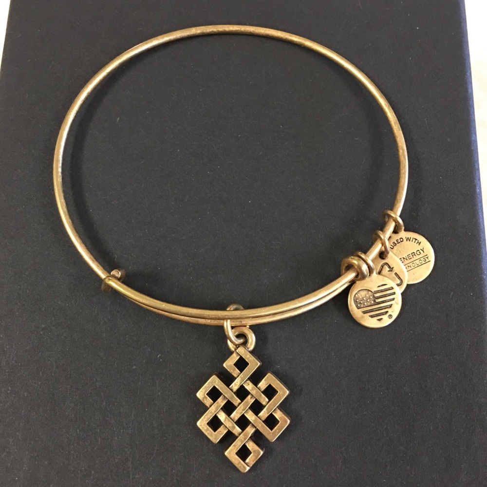 Alex and ani endless knot